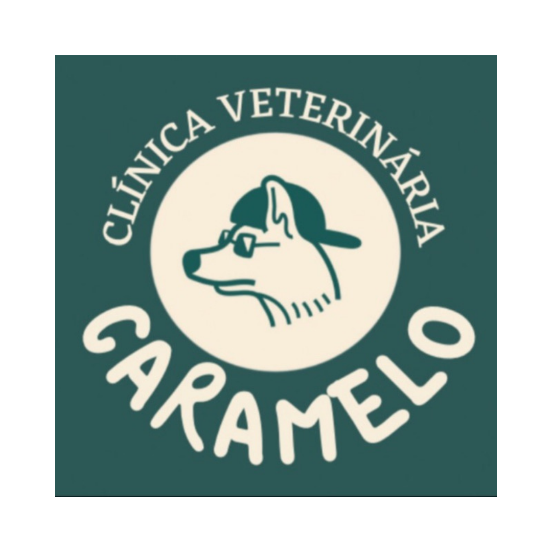 021366fd4f6f42fc9aaa2858d3e2168e