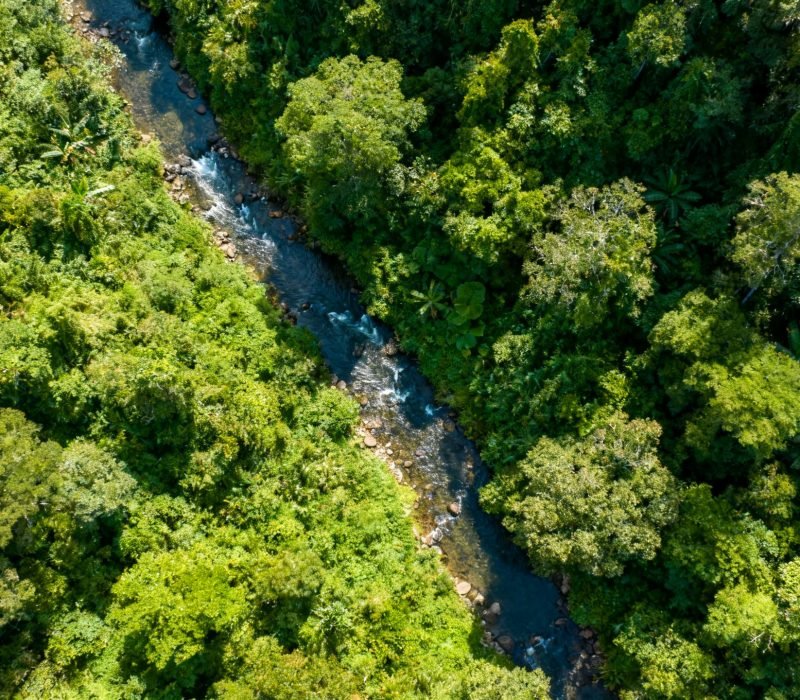 Generatedimage_1773088723615